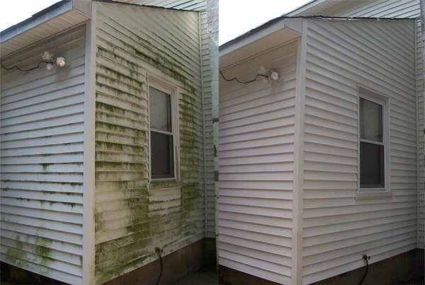 Does pressure washing remove mold and mildew?