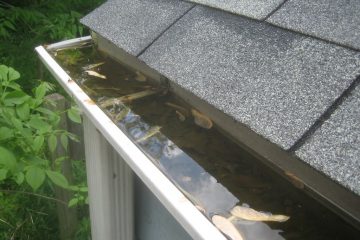 Gutters are such a part of the property that is often neglected when it comes to maintenance and cleaning.