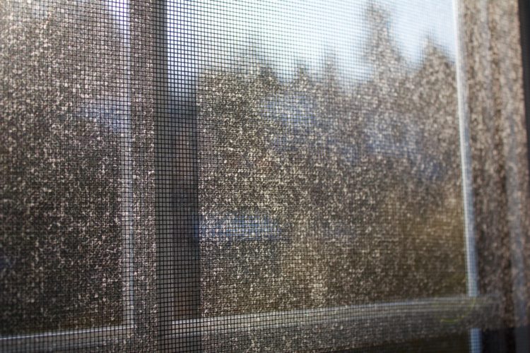 Cost to Clean Window Screens