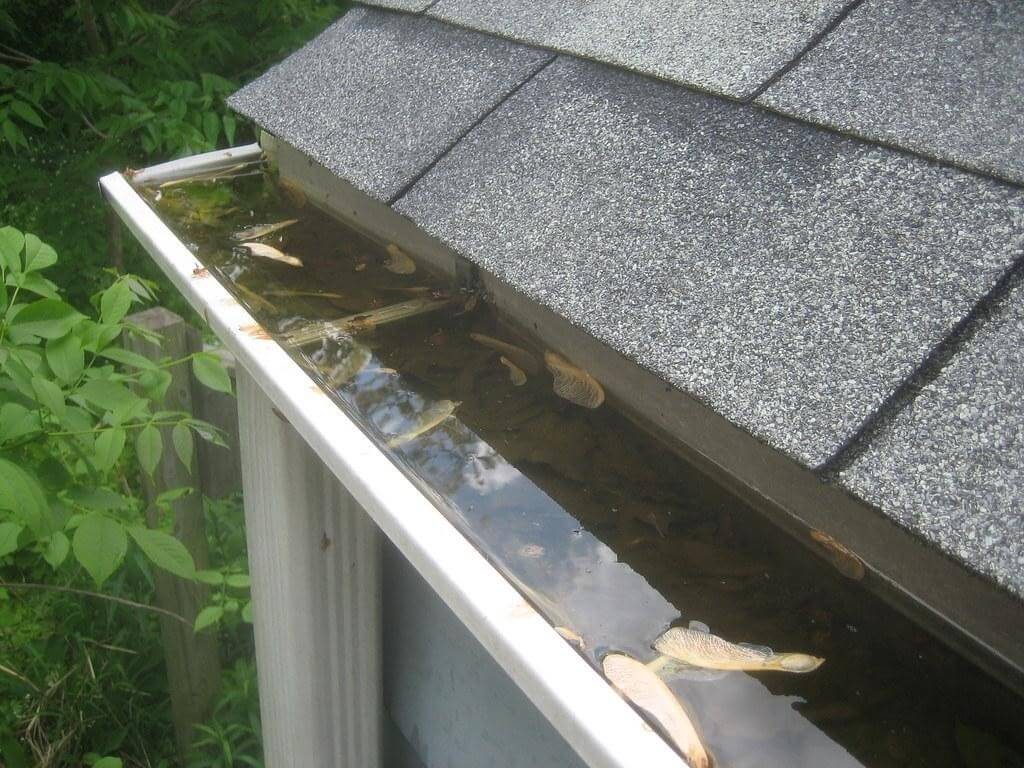 What accessories and tools do you need to clean your gutters