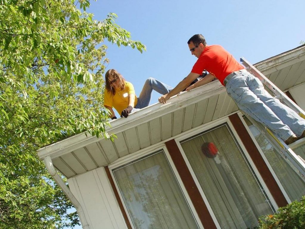 Gutter Cleaning