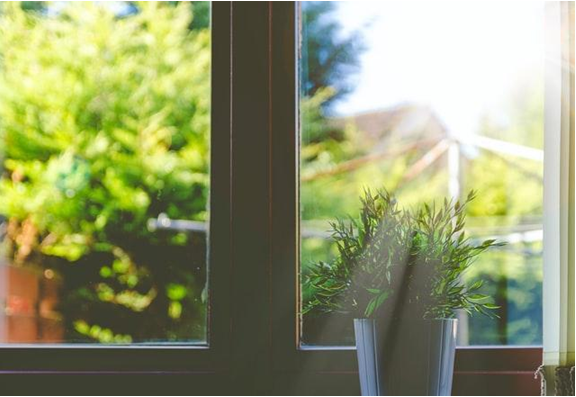 How to prevent mold build up on your windows?