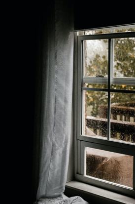 How to prevent mold build up on your windows?