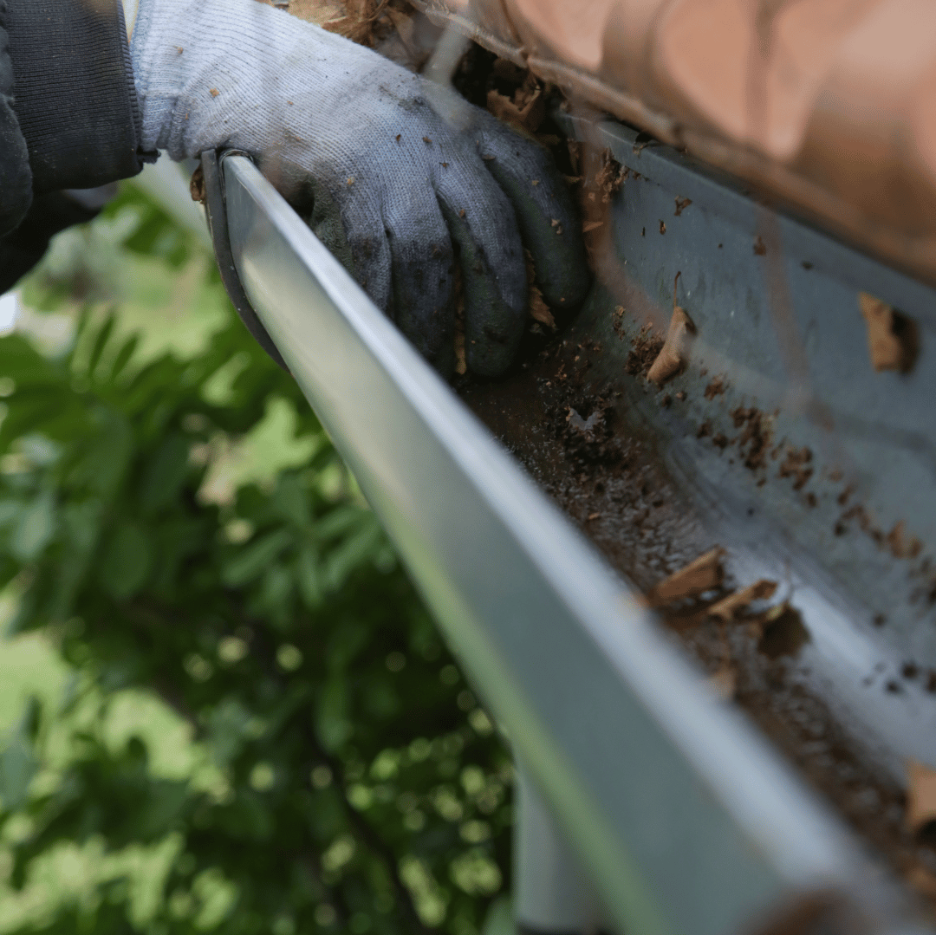Gutter Cleaning Services