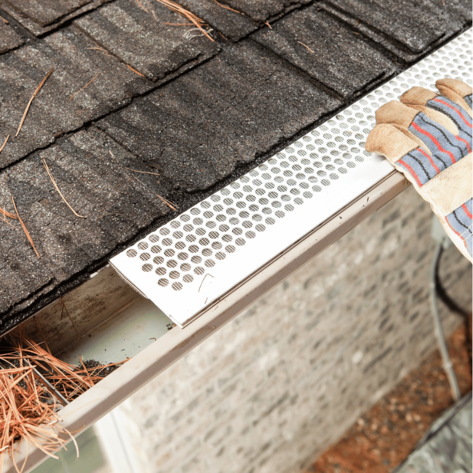Gutter Cleaning Services