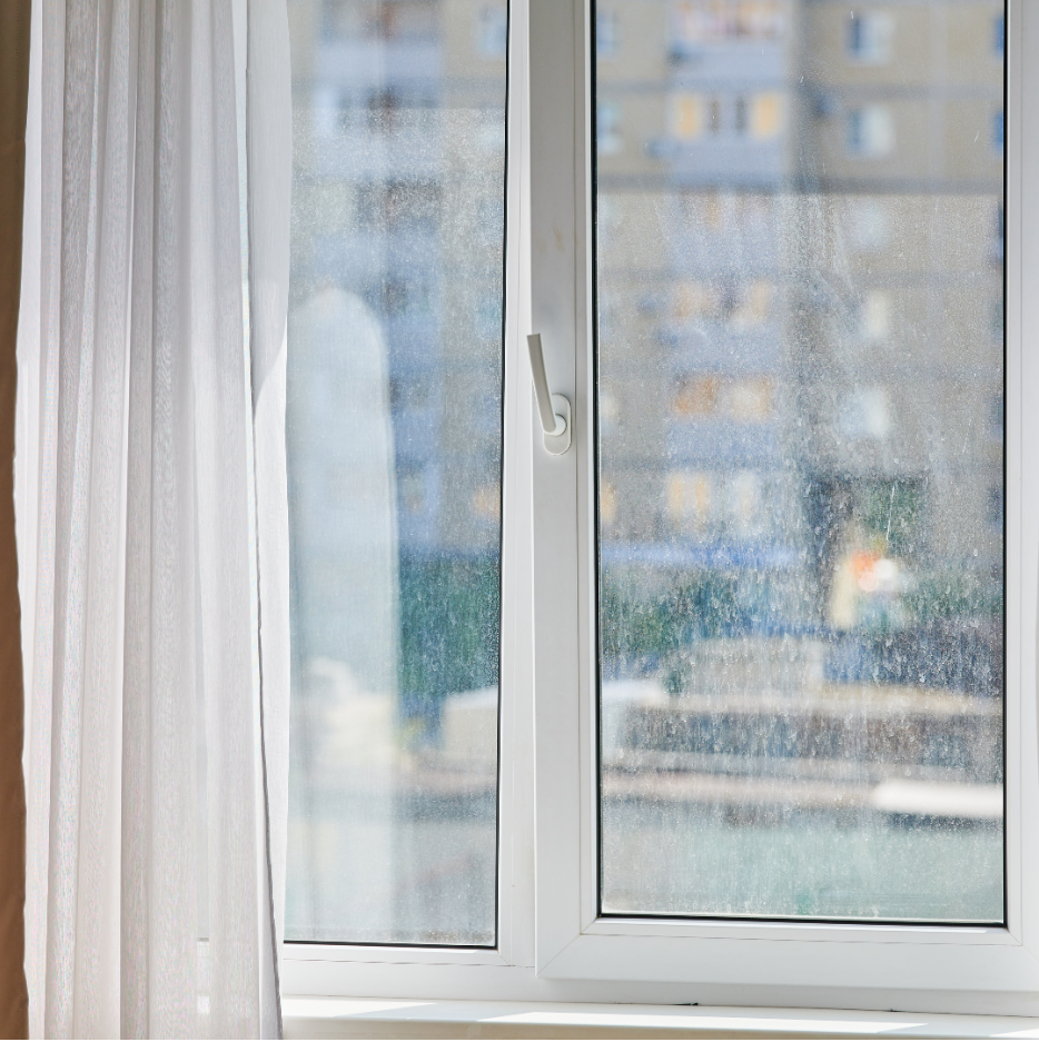 Window Screen Cleaning Services