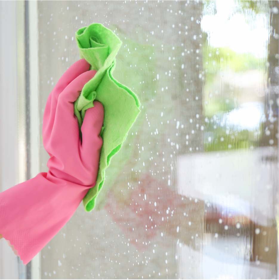 Window Screen Cleaning Services